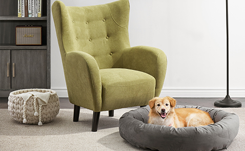 方寸之间的温暖 | 宠物窝棚拍摄