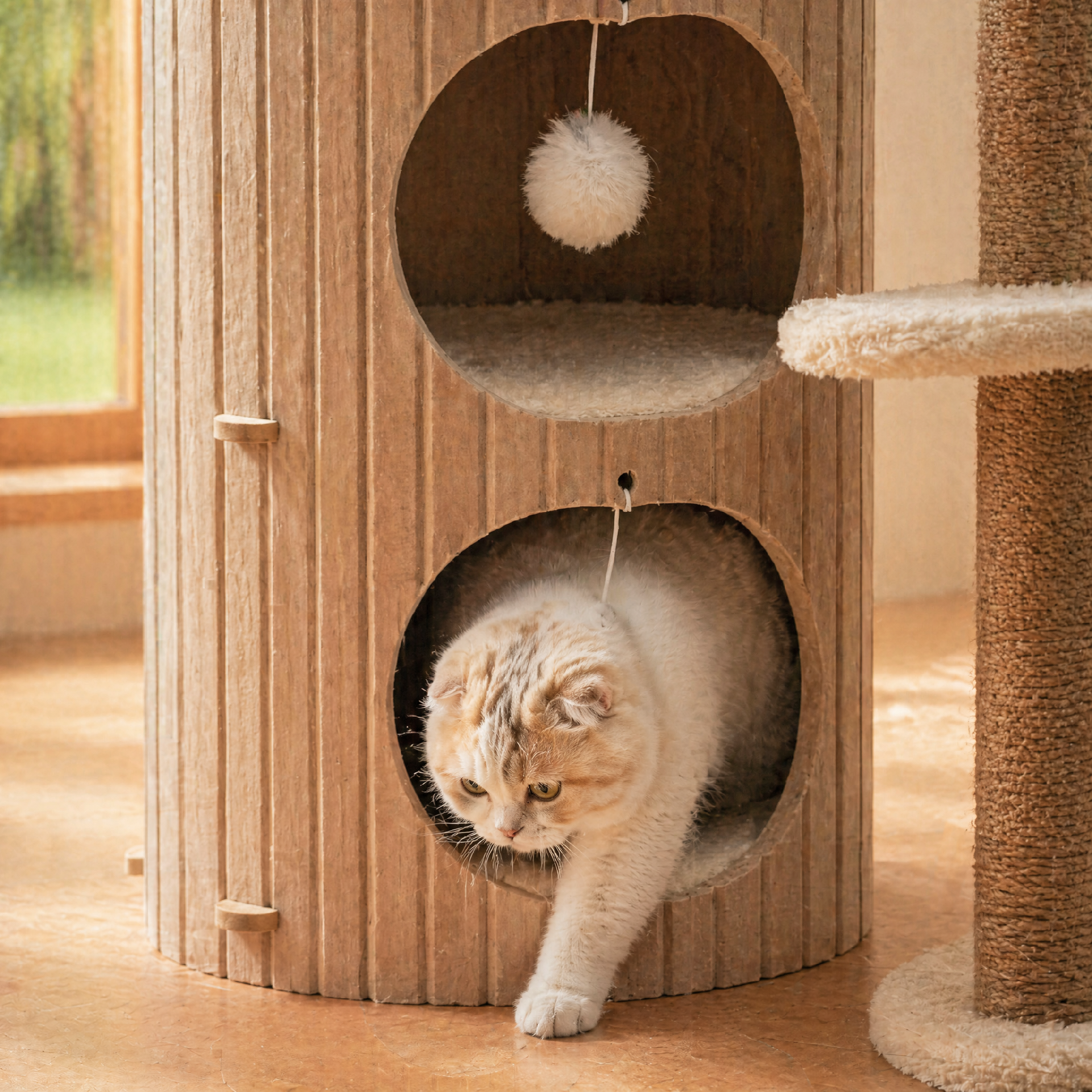 Image 15 (1).png